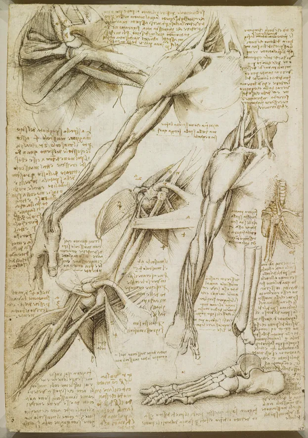 Beyond Anatomy applied kinesiology course at RP Fitness